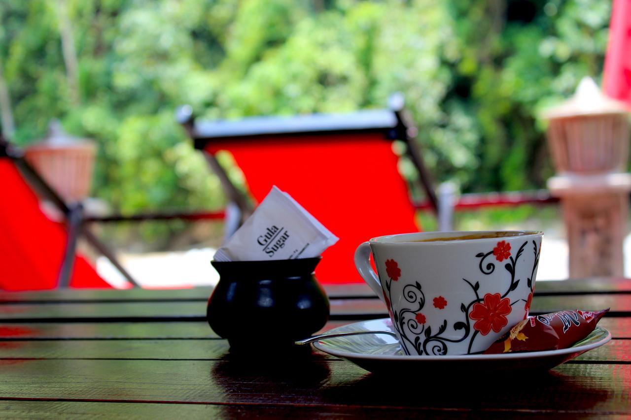 EcoTravel Cottages Bukit Lawang Exteriör bild