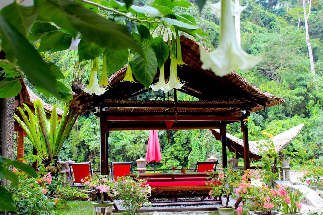 EcoTravel Cottages Bukit Lawang Exteriör bild