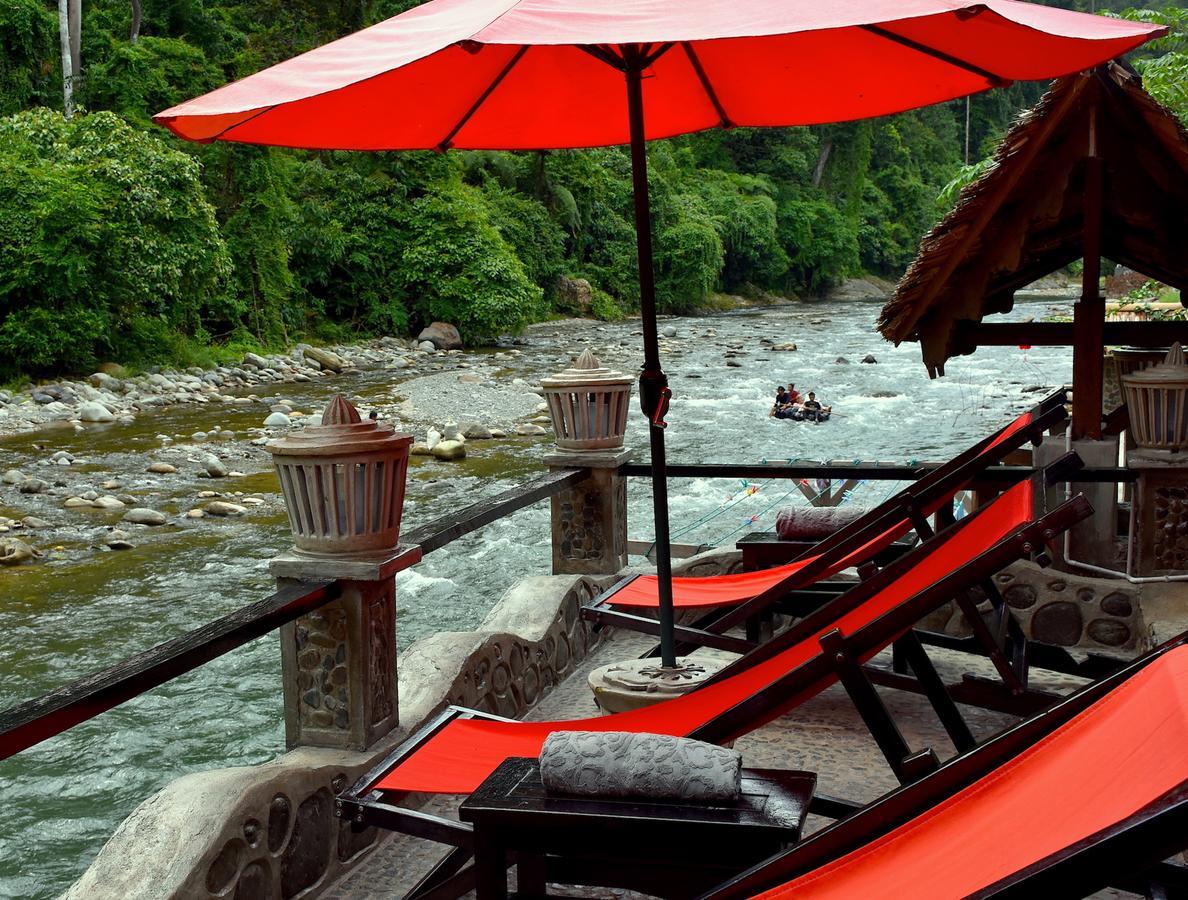 EcoTravel Cottages Bukit Lawang Exteriör bild