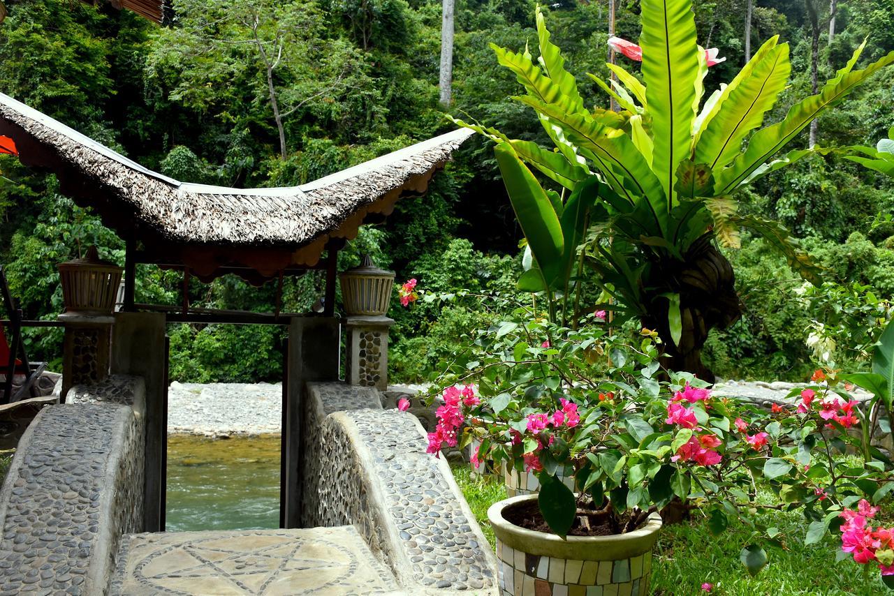 EcoTravel Cottages Bukit Lawang Exteriör bild