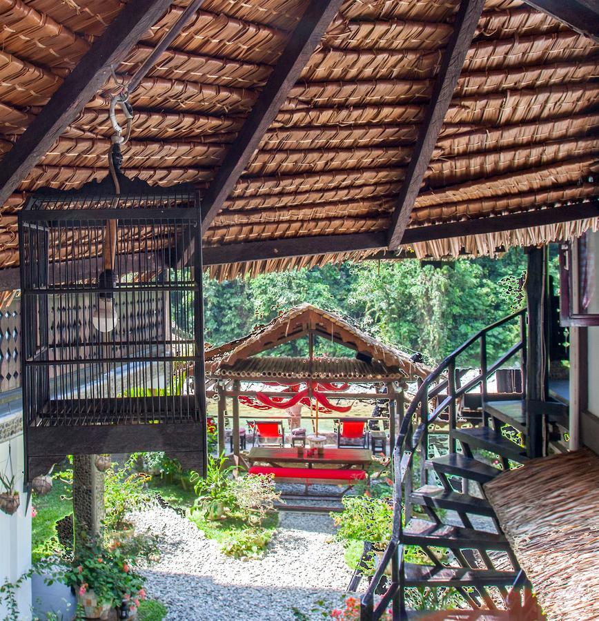 EcoTravel Cottages Bukit Lawang Exteriör bild