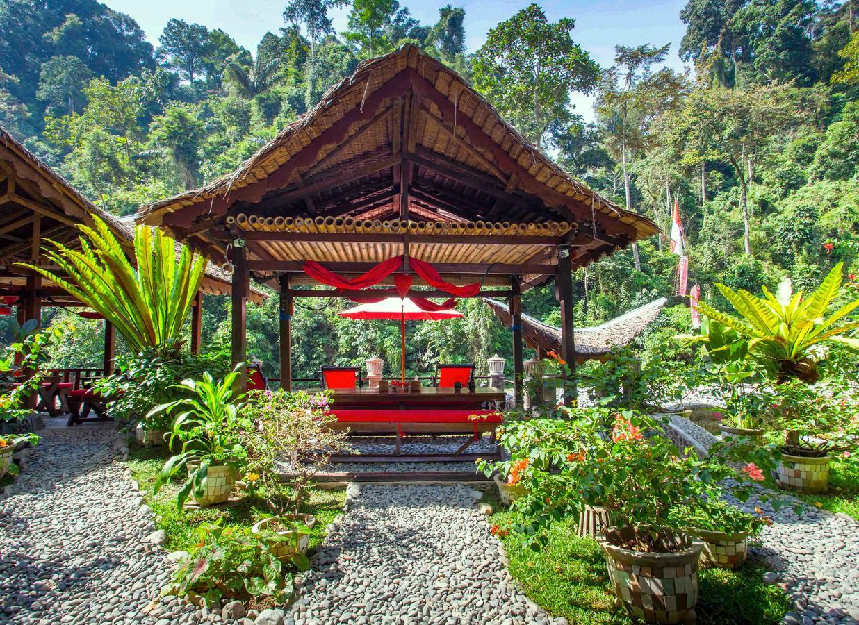 EcoTravel Cottages Bukit Lawang Exteriör bild